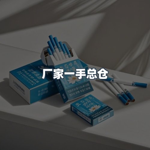 服务优势